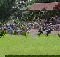 Tumut Boxing Day Races - Tourism Adelaide