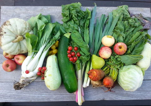 Wingham Farmers Market - Tourism Adelaide 0