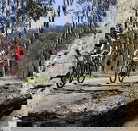 Wollombi Wild Ride Mountain Bike Ride - Tourism Adelaide