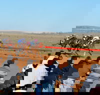 2020 Quorn Cup - Tourism Adelaide