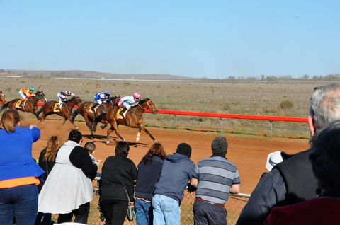 2020 Quorn Cup - Tourism Adelaide 0