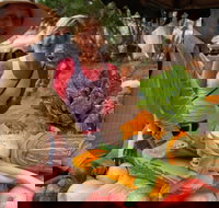 Albany Farmers Market - Tourism Adelaide