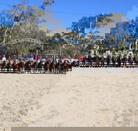 Australian Campdraft Association National Finals Campdraft 2021 - Tourism Adelaide