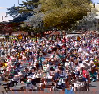 Bathurst Edgell Jog - Tourism Adelaide
