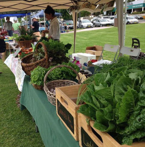 Bermagui Growers Market - Tourism Adelaide 5