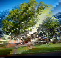 Big Bat Wildlife and Eco Festival - Tourism Adelaide