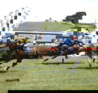 Bong Bong Picnic Races - Tourism Adelaide