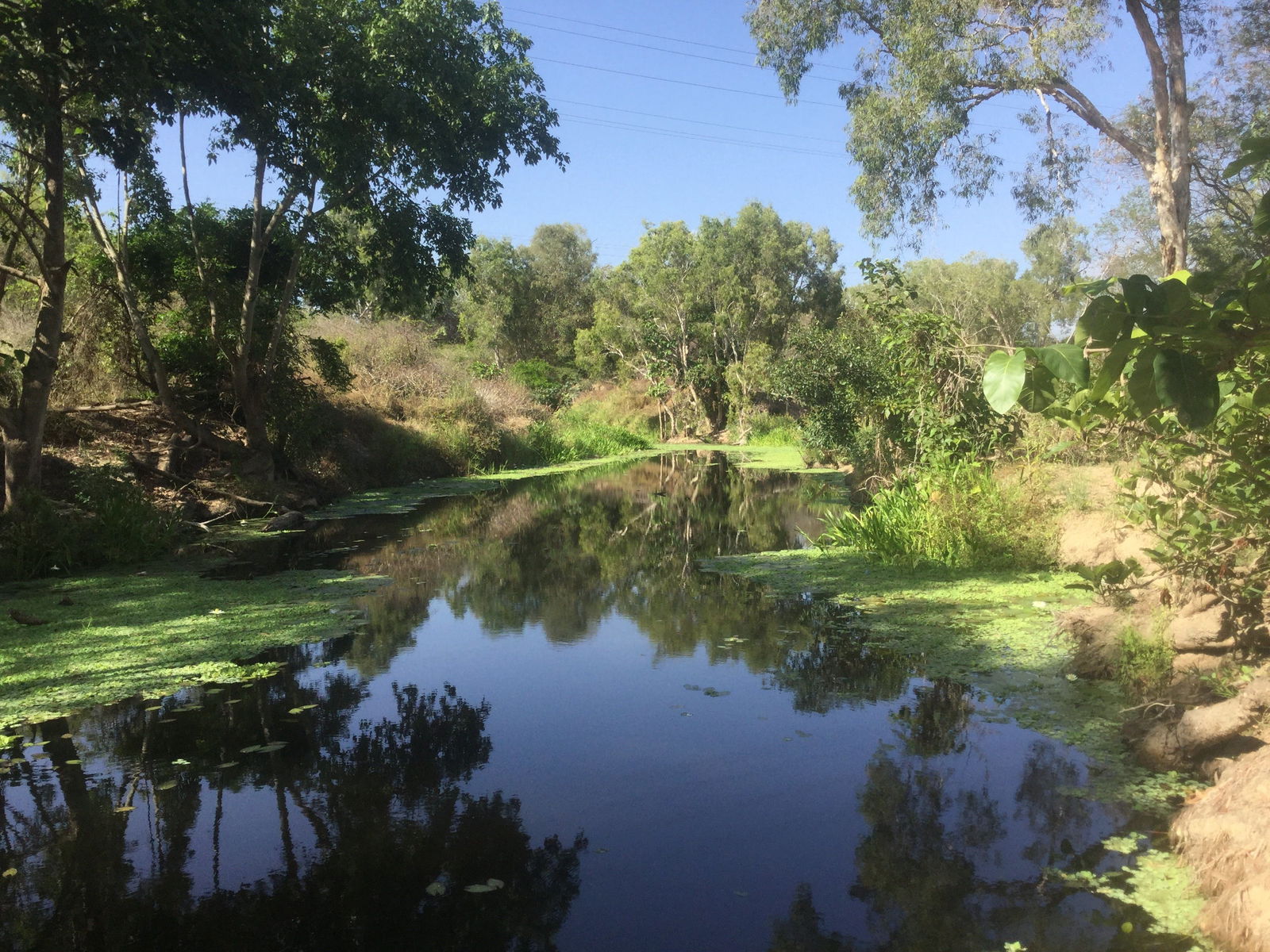 Belgian Gardens QLD Tourism Adelaide