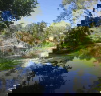 Conservation Volunteers Australia Townsville - Creekwatch - Tourism Adelaide