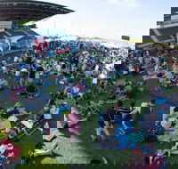 Craft Beer Sunshine Coast Festival - Tourism Adelaide