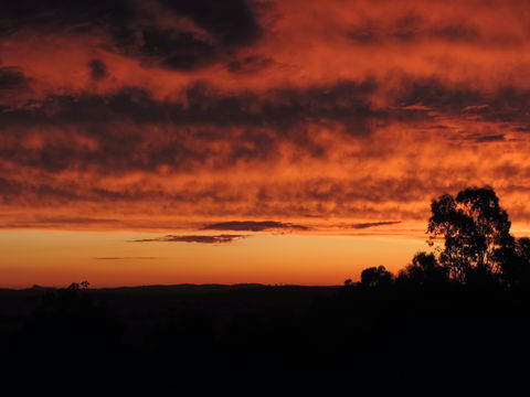 Father's Day At Cottontail Wines - Tourism Adelaide 0