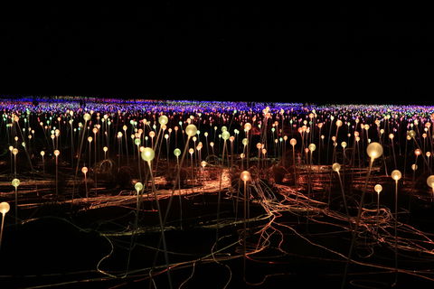 Field Of Light Uluru - Tourism Adelaide 1