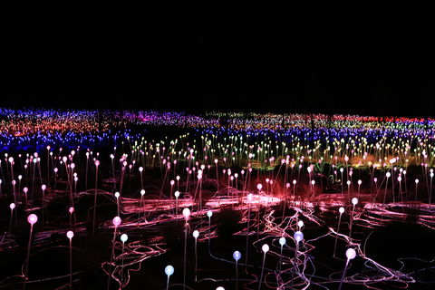 Field Of Light Uluru - Tourism Adelaide 2