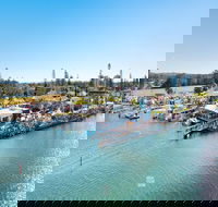 Fred Williams Aquatic Festival - Tourism Adelaide