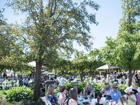 Griffith Vintage Festival - Tourism Adelaide 2