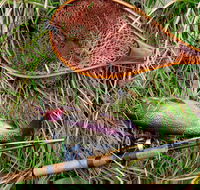 Guyra TroutFest - Tourism Adelaide