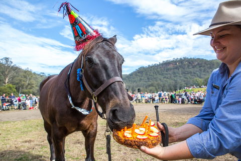 Horses Birthday Festival - Tourism Adelaide 0