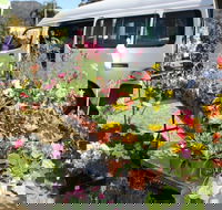 Johns River Country Markets - Tourism Adelaide