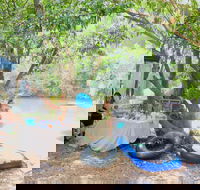 Jungle Love Festival - Tourism Adelaide