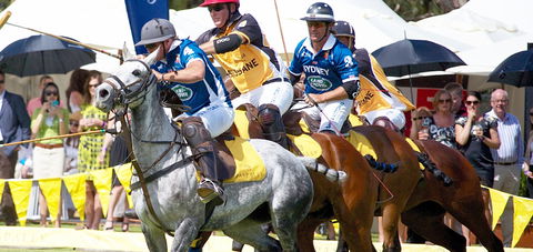 Land Rover Polo In The City Brisbane - Tourism Adelaide 0