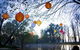 Lanterns On The Lagoon - thumb 0