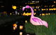 Lanterns On The Lagoon - thumb 1