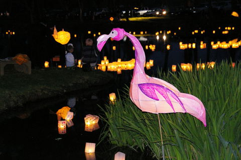 Lanterns On The Lagoon - Tourism Adelaide 1