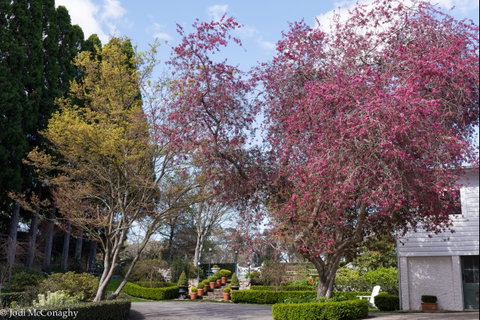 Leura Gardens Festival - Cancelled - Tourism Adelaide 0
