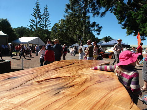 Maleny Wood Expo: From Seed To Fine Furniture - Tourism Adelaide 0