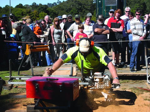 Maleny Wood Expo: From Seed To Fine Furniture - Tourism Adelaide 2