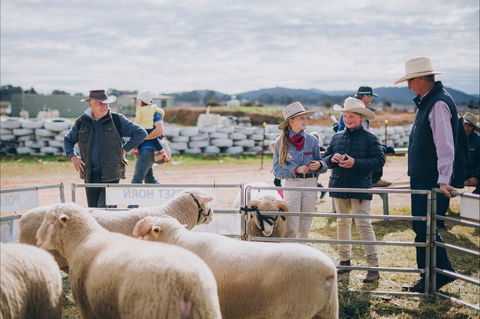Mudgee Small Farm Field Days - Tourism Adelaide 0