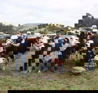 Noorat Show - Tourism Adelaide