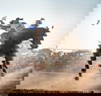 Rodeo by the Sea - Streaky Bay - Tourism Adelaide
