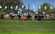 Sakura Matsuri  - Cherry Blossom Festival - In Doubt Due To Covid-19 - thumb 0