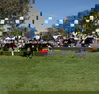Sakura Matsuri  - Cherry Blossom Festival - in doubt due to Covid-19 - Tourism Adelaide
