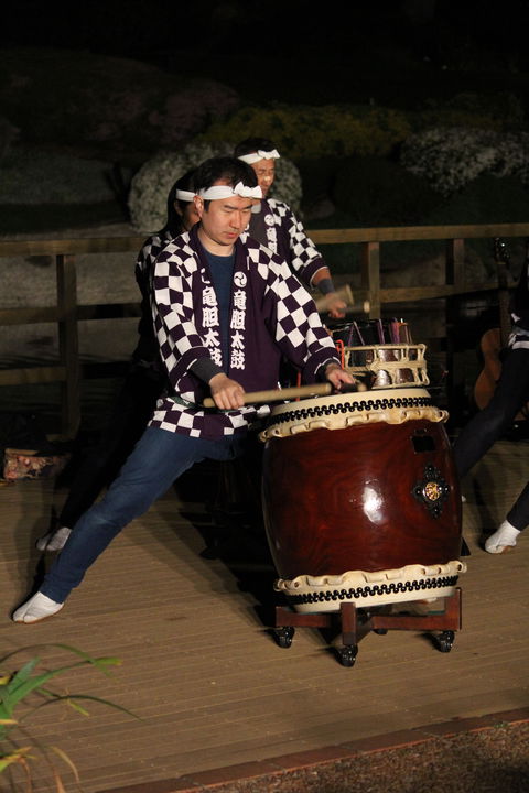 Sakura Matsuri  - Cherry Blossom Festival - In Doubt Due To Covid-19 - Tourism Adelaide 1