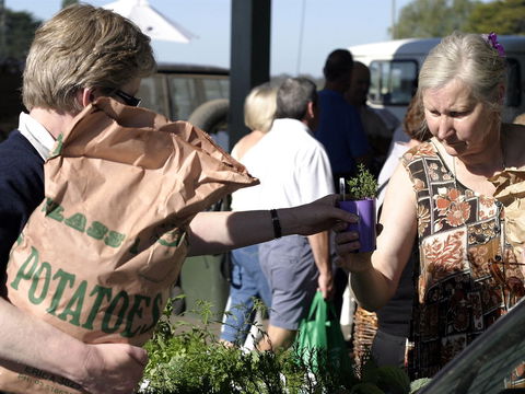 Sale  Producers Market - Tourism Adelaide 0