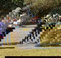 Sculpture for Clyde - Outdoor Exhibition - Tourism Adelaide