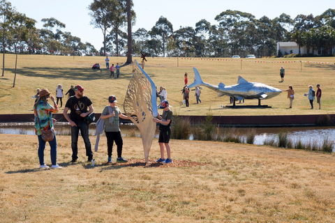 Sculpture For Clyde - Outdoor Exhibition - Tourism Adelaide 2