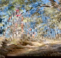 Shimano Mountain Bike Grand Prix  Logan - Tourism Adelaide