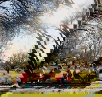 The Orange Society of Model Engineers - Miniature Train Rides - Tourism Adelaide