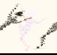 The Australian Ballet presents Harlequinade - Tourism Adelaide