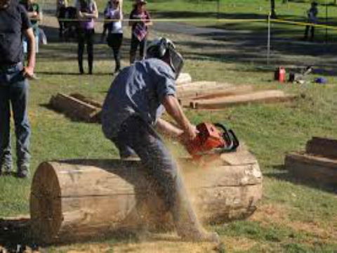 Tocal Field Days - Tourism Adelaide 0