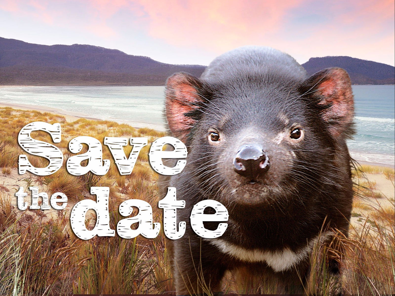 Baden TAS Tourism Adelaide