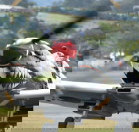 Wings Over Illawarra - Tourism Adelaide