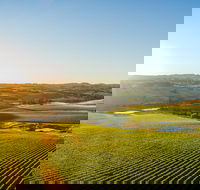 Wine and Food at Altitude - Tourism Adelaide