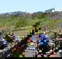 Yoga in the Vines - Tourism Adelaide