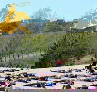 Yoga in the Vines - Tourism Adelaide