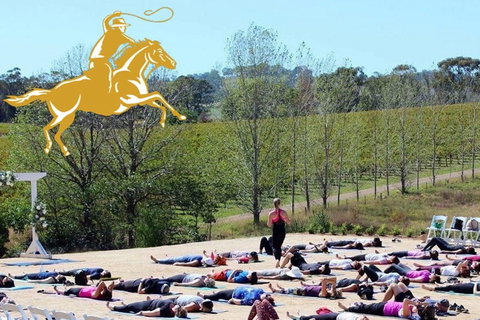 Yoga In The Vines - Tourism Adelaide 0