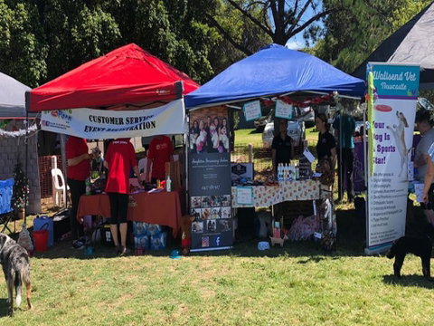 Dogs In The Park NSW Orange - Tourism Adelaide 1